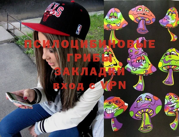 ГАЛЛЮЦИНОГЕННЫЕ ГРИБЫ Арсеньев
