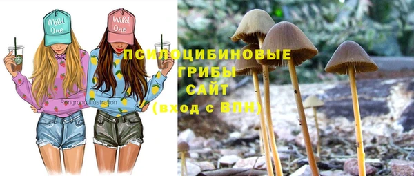 ГАЛЛЮЦИНОГЕННЫЕ ГРИБЫ Арсеньев