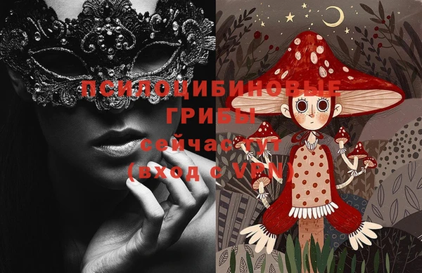 ГАЛЛЮЦИНОГЕННЫЕ ГРИБЫ Арсеньев