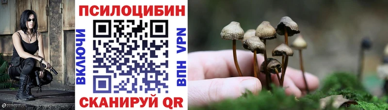 shop Telegram Сибай Галлюциногенные грибы ЛСД