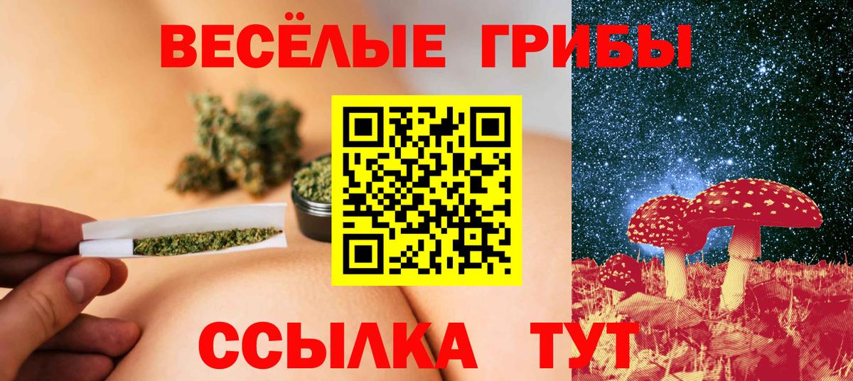 Галлюциногенные грибы прущие грибы  Вход с VPN  Сибай 