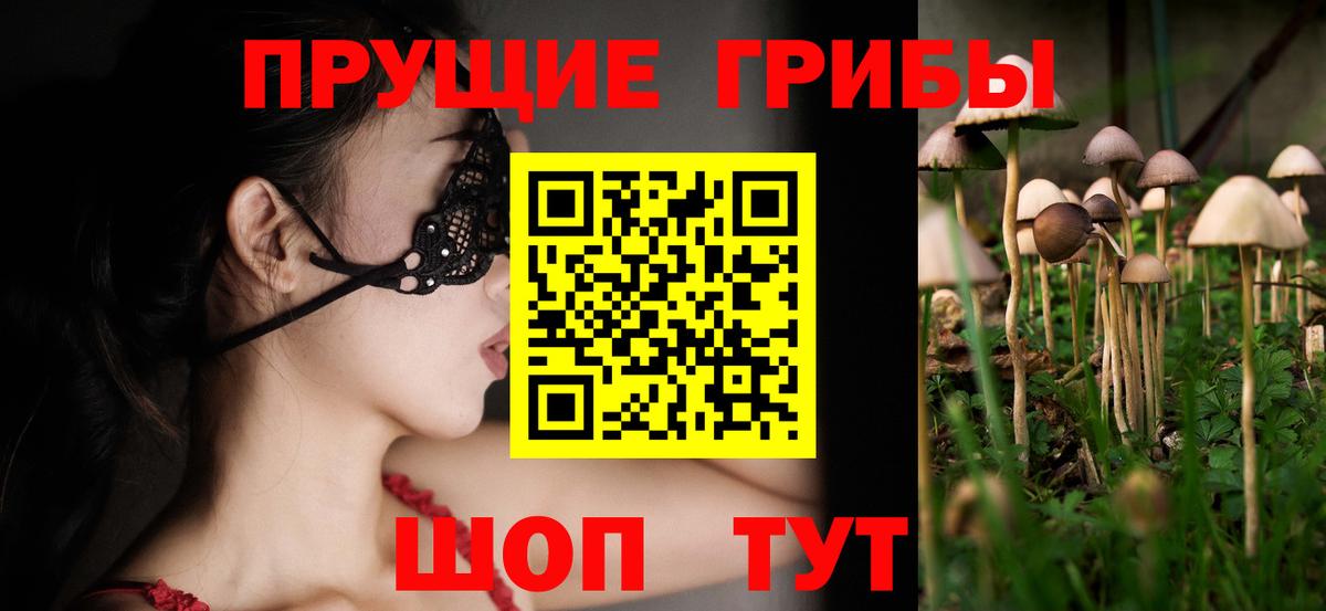 Галлюциногенные грибы Cubensis Сибай